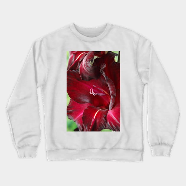 Gladiolus  'Black Surprise' Crewneck Sweatshirt by chrisburrows